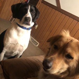 Meet your Posher, Natalie